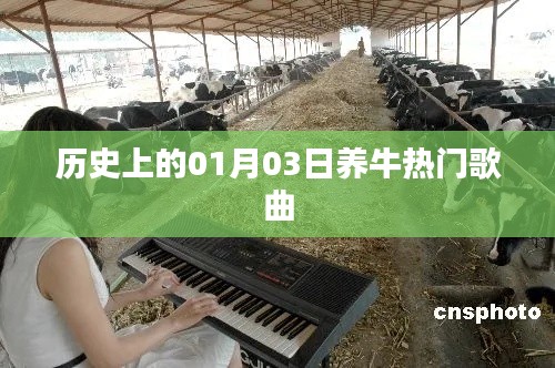 历史上的养牛热门歌曲回顾，一月三日独特旋律