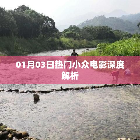 01月03日热门小众电影深度解读