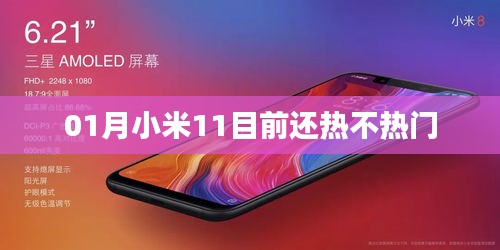 小米11热度持续不减，一月仍受关注