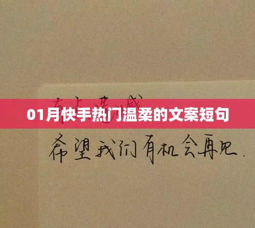 快手热门温柔文案短句精选