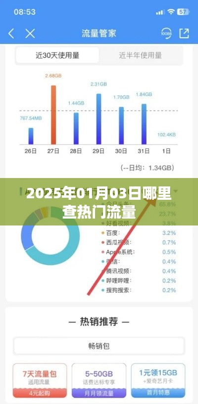 『实时掌握，2025年热门流量查询指南』