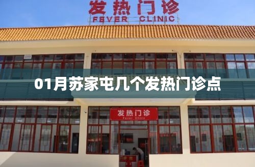 苏家屯区一月份发热门诊点布局