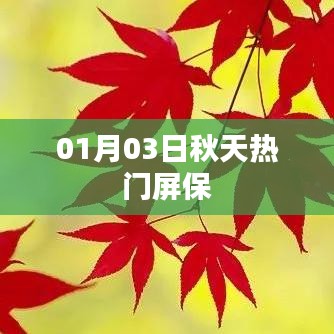 产品知识 第131页