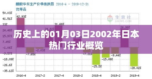 日本热门行业概览，历史上的2002年一月三日回顾