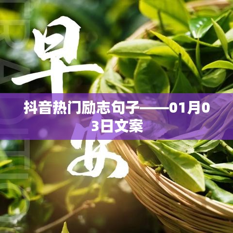 抖音励志句子精选，新年新气象，奋斗正当时