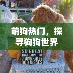 萌狗世界，探寻狗狗的魅力时光