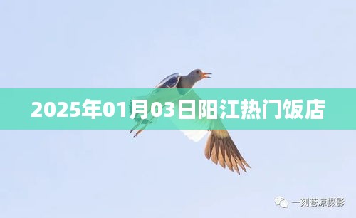 阳江饭店美食推荐，2025年热门饭店榜单