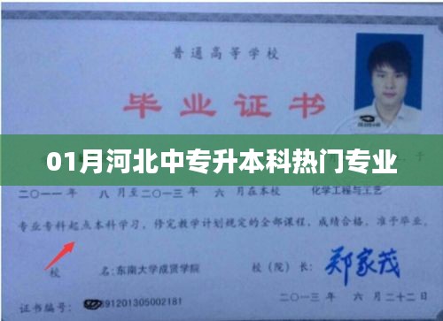 河北中专升本科热门专业解析