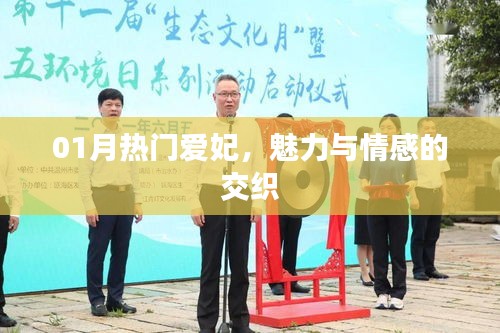 魅力爱妃情感交织，一月热门之选