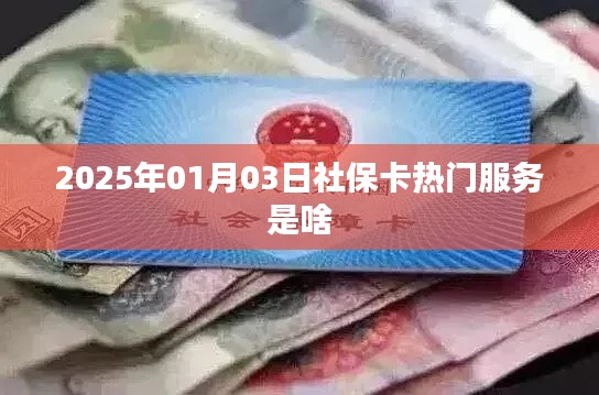 社保卡热门服务揭秘，未来趋势展望