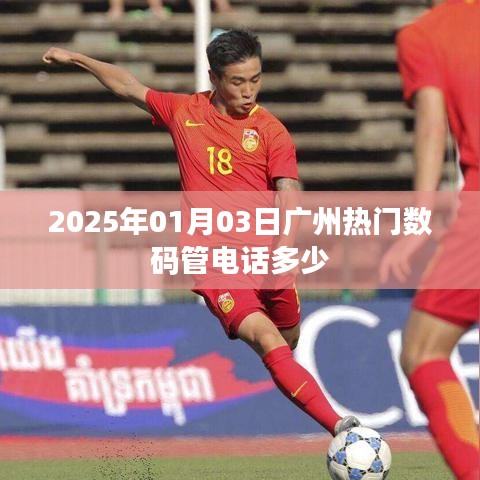 广州数码管电话多少？最新查询结果揭晓