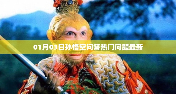 孙悟空问答热门问题最新动态（日期更新）