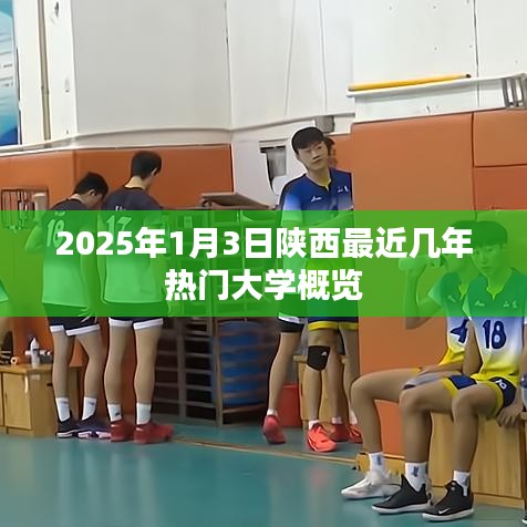 伤弓之鸟 第3页