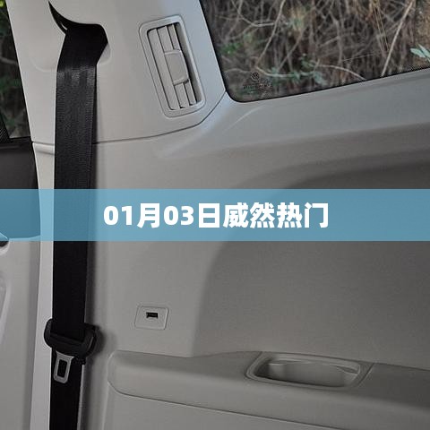 威然热门事件，揭秘背后的故事