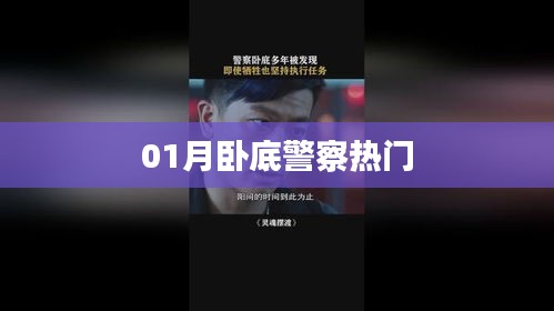 卧底警察一月追踪揭秘