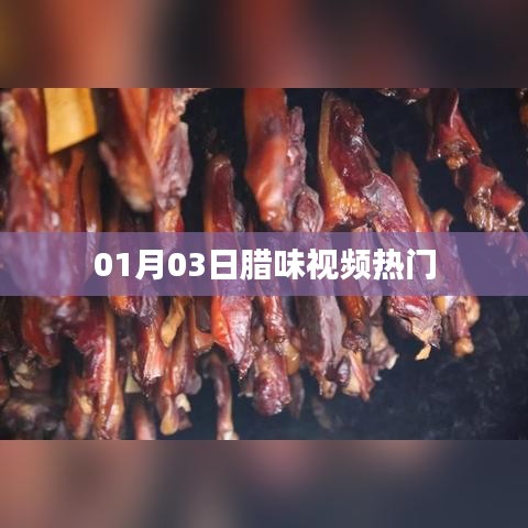 腊味视频热门，01月03日最新动态