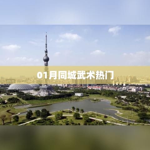 01月同城武术热潮涌动