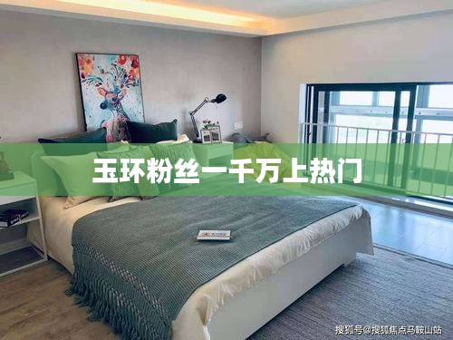 玉环粉丝突破千万大关，热门事件引关注