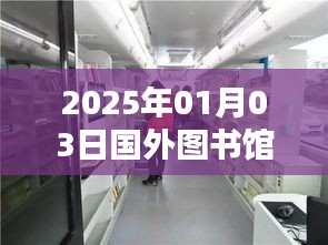 国外图书馆热门图书推荐，探寻2025年最受欢迎的书籍