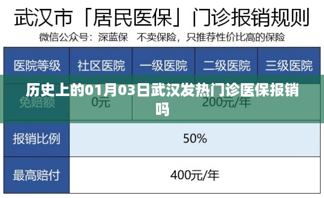 武汉发热门诊历史医保报销情况（日期，01月03日）