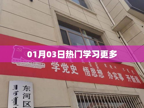 热门学习大揭秘，01月03日最新动态