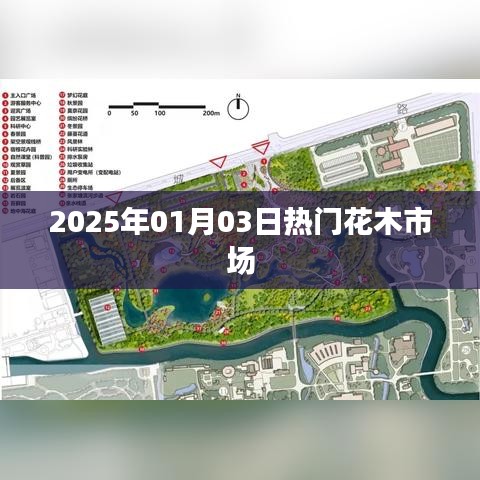 『2025年元旦热门花木市场趋势展望』
