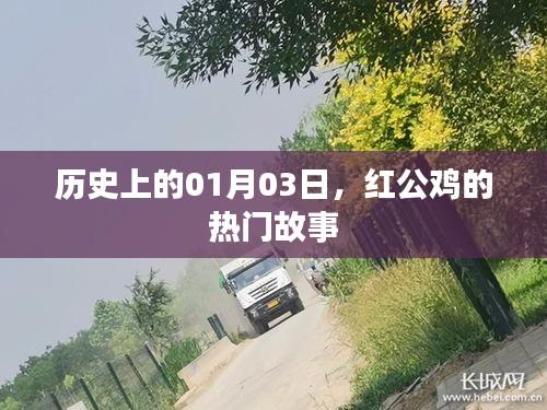 红公鸡故事揭秘，历史上的1月3日事件回顾