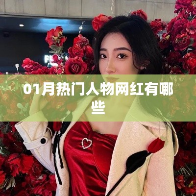 热门网红人物大盘点，一月新星悉数登场！