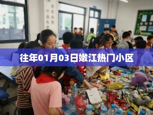 嫩江热门小区历年一月份动态速递