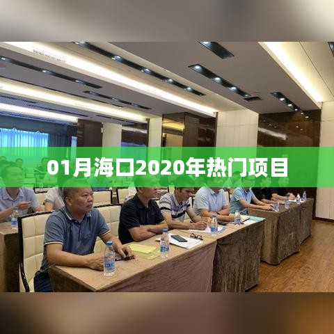 海口热门项目大盘点，2020年一月份必关注项目