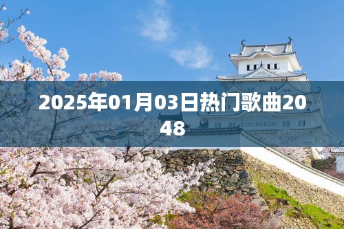 『2025年元旦流行之歌，热门歌曲2048』