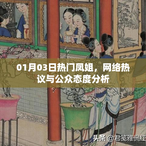 凤姐热议背后的公众态度深度分析