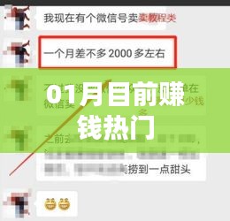 01月热门赚钱机遇解析