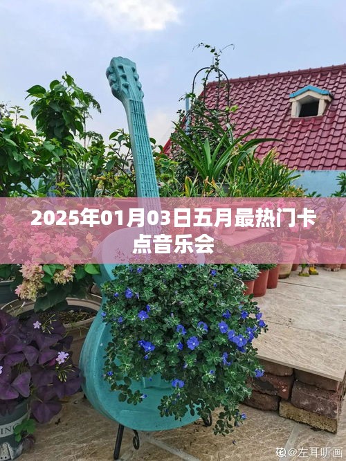五月最火音乐会卡点盛宴，2025年跨年夜现场回顾