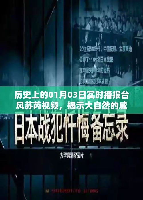 反朴还淳 第3页