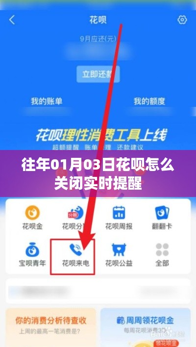 花呗实时提醒关闭方法指南。