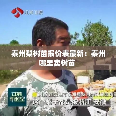 泰州梨树苗报价表最新：泰州哪里卖树苗 