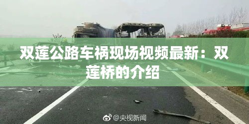 双莲公路车祸现场视频最新：双莲桥的介绍 