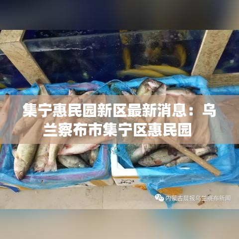 集宁惠民园新区最新消息：乌兰察布市集宁区惠民园 