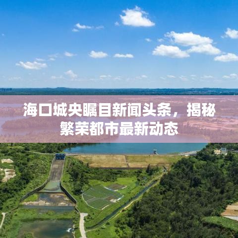 海口城央瞩目新闻头条，揭秘繁荣都市最新动态