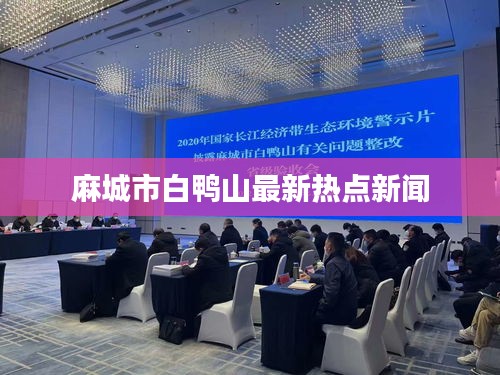 麻城市白鸭山最新热点新闻