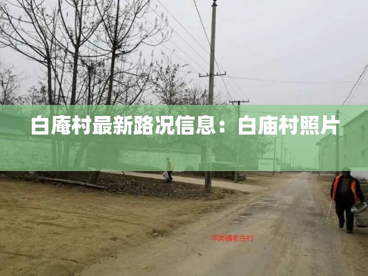 白庵村最新路况信息：白庙村照片 