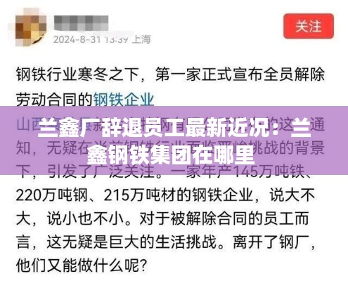兰鑫厂辞退员工最新近况：兰鑫钢铁集团在哪里 