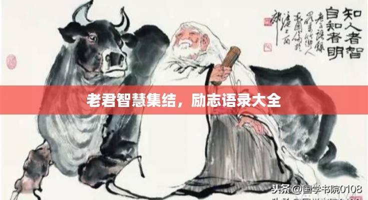 老君智慧集结，励志语录大全