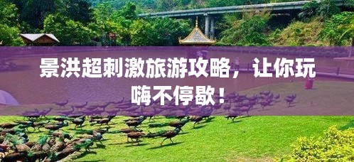 景洪超刺激旅游攻略，让你玩嗨不停歇！