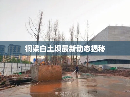 蹑蹻檐簦 第2页
