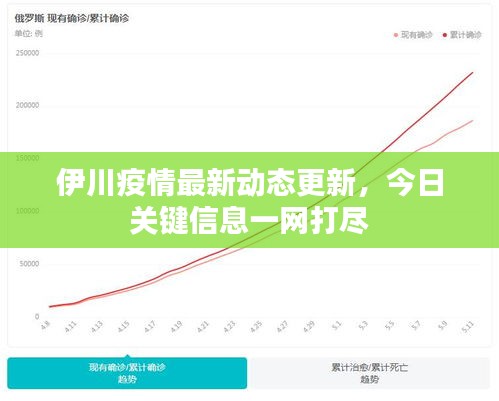 伊川疫情最新动态更新，今日关键信息一网打尽