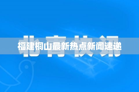 福建桐山最新热点新闻速递