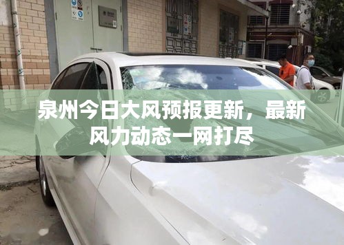 泉州今日大风预报更新，最新风力动态一网打尽