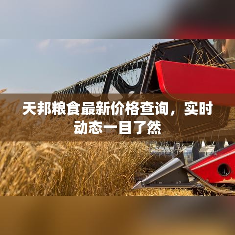 天邦粮食最新价格查询，实时动态一目了然